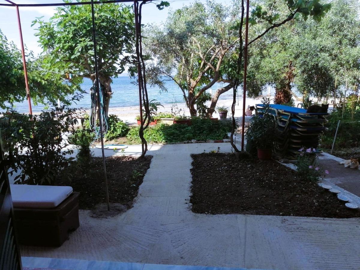 Vassia'S Beach Houses Μπενίτσες Εξωτερικό φωτογραφία